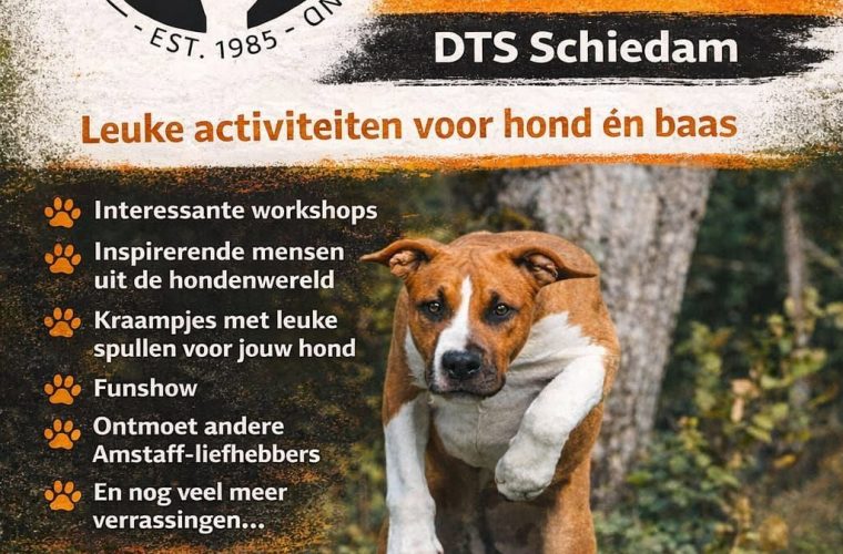 astch clubdag