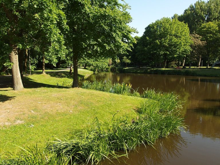 Wandeling in Beatrixpark — Natuur in Schiedam