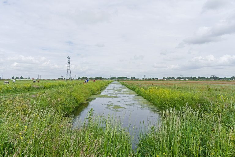 Openluchtfilm in Schiedam — Film in Schiedam