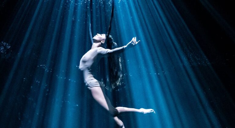 Recirquel – Paradisium — theater in Schiedam
