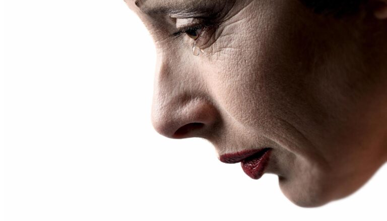 Piaf de Musical — theater in Schiedam
